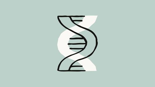 Биомедицинская команда подключает Claude Code и API через программу верификации Anthropic с разными уровнями доступа.
